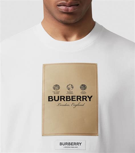 burberry logo print tshirt|Burberry oversized t shirt.